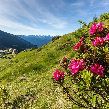 Rifugio Alpe San Romerio * Brusio