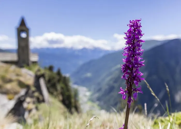 Alojamento de Turismo Rural Rifugio Alpe San Romerio Brusio
