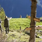 Rifugio Alpe San Romerio Çiftlik konaklama Brusio