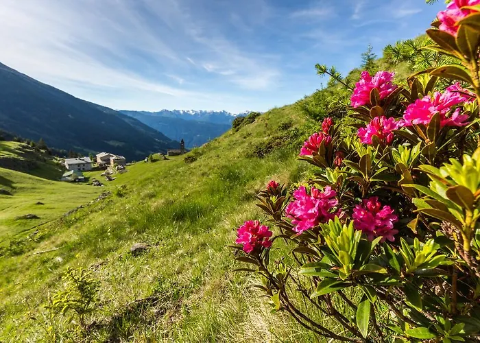 Rifugio Alpe San Romerio * Brusio
