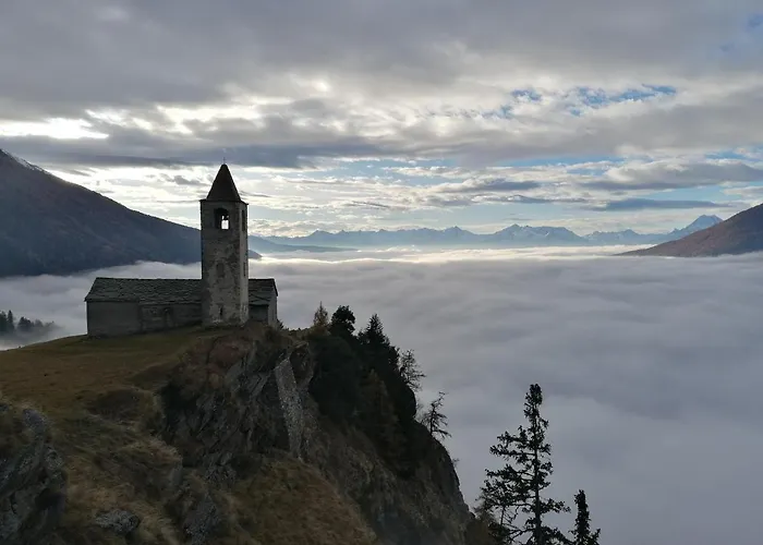 ريفوجيو ألبي سان رومريو *